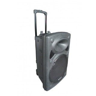 Portable Wireless Audio System Church Band School Sports Team 11838: Musical Instruments
