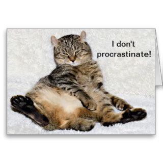 Lazy Cat Procrastinate Funny Greeting Card