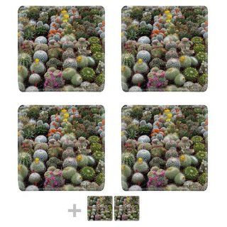 Dwarf Cacti Multi colored Blooms Tiny Pots Square Coaster (6 Piece) Set Fabric Rubber 5 1/8 Inch (130mm) Size Coaster Cup Mug Can Water Bottle Drink Coasters Stain Resistance Collector Kit Kitchen Table Top Desk Kitchen & Dining