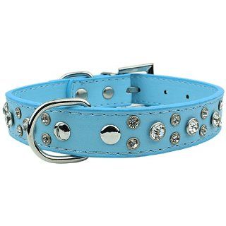 Parisian Pet Pharaoh 2R Diamond Dog Collar, 15mm, Blue : Pet Fashion Collars : Pet Supplies