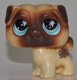Pug #623 (Cream/Brown, Blue Eyes)   Littlest Pet Shop (Retired) Collector Toy   LPS Collectible Replacement Single Figure   Loose (OOP Out of Package & Print)  
