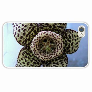 Custom Designer Iphone 4 4S Macro Flower Petals Stains Beautiful Of Fashion Gift White Case Cover For Lady: Cell Phones & Accessories