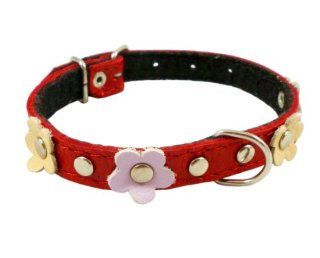 Genuine Leather Designer Dog Collar, Daisy, Studs. 14.5"x5/8" Wide. Fits 10" 13.5" Neck, Chihuahua, Poodle, Puppies : Pet Collars : Pet Supplies