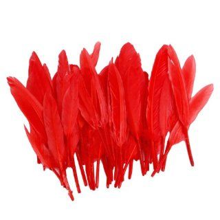 50pcs Home Decor Red Goose Feather
