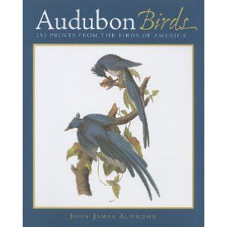 Audubon Birds: 252 Prints from the Birds of America: John James Audubon, David Reinhardt: Books