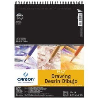 Canson C702 2260 / C702 2261 / C702 2262 Artist Series Assorted Drawing Wire Bound Pads (Set of 6) Size: 11" x 14": Toys & Games