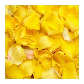 Send Yellow Rose Petals  4200 Rose Petals Yellow : Fresh Cut Format Rose Flowers : Grocery & Gourmet Food