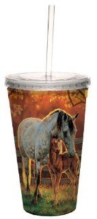 Tree Free Greetings 80136 Quiet Time Collectible Art Double Wall Cool Cup with Straw, 16 Ounce, Multicolored Kitchen & Dining