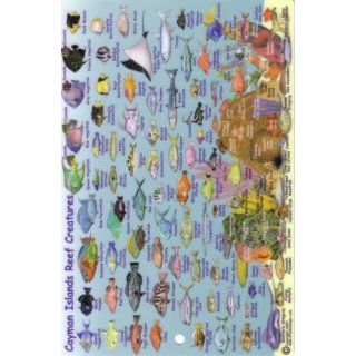 Cayman Islands Mini Map and Reef Creatures Identification Guide (Fish Card): Franko's Maps: 9781601901057: Books