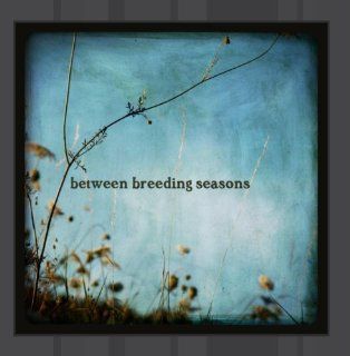Between Breeding Seasons: Music