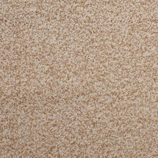 STAINMASTER Active Family Huntington Heights Brown Textured Indoor Carpet