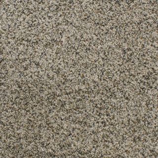 Dixie Group Active Family Exuberance I 105 Multicolor Textured Indoor Carpet