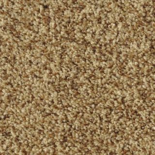 Dixie Group Active Family Maple Springs Truffle Frieze Indoor Carpet
