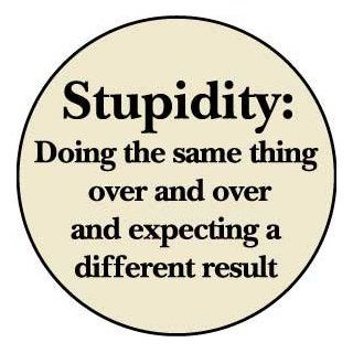 STUPIDITY : Doing the Same Thing Over and Over and Expecting a Different Result PINBACK BUTTON 1.25" Pin / Badge: Everything Else