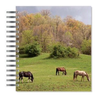 ECOeverywhere Horse In The Field Picture Photo Album, 18 Pages, Holds 72 Photos, 7.75 x 8.75 Inches, Multicolored (PA12426) : Wirebound Notebooks : Office Products