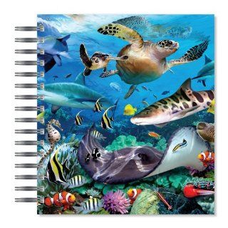 ECOeverywhere Dallas Aquarium Version of Sea Life Picture Photo Album, 18 Pages, Holds 72 Photos, 7.75 x 8.75 Inches, Multicolored (PA14159) : Wirebound Notebooks : Office Products