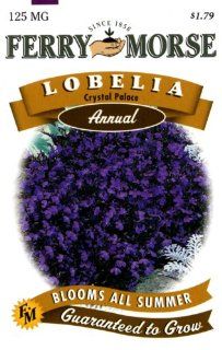 Ferry Morse 1074 Lobelia Annual Flower Seeds, Crystal Palace (125 Milligram Packet) : Lobelia Plants : Patio, Lawn & Garden