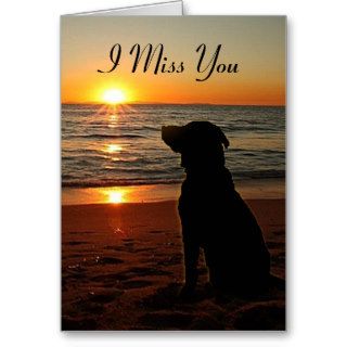 Dog on Beach   Miss You Card