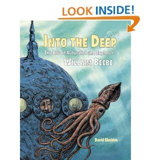 Into the Deep David Sheldon 9781580893411 Books