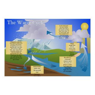 The Water Cycle Posters
