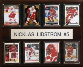 NHL Nicklas Lidstrom Detroit Red Wings Career Stat Plaque : Sports Fan Decorative Plaques : Clothing