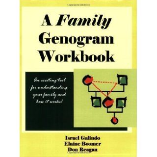A Family Genogram Workbook by Israel Galindo, Elaine Boomer, Don Reagan 1st (first) Edition [Paperback(2006)]: Books