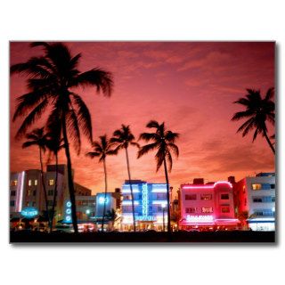 Miami, Florida Postcard