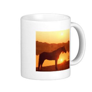 Horse Joe Banjo Rocky Mountain Horse Mug