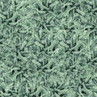 Shop Shaw Area Rug: Ultra Shag Rug: Sea Grass Green 00305: 3'4"x5'6" Rectangle at the  Home Dcor Store. Find the latest styles with the lowest prices from Shaw Rugs