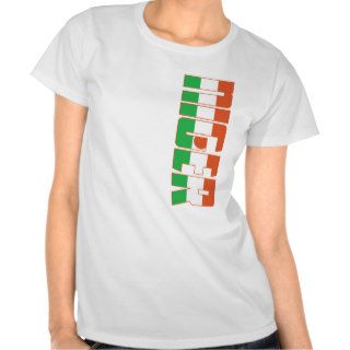 Niger Flag Tshirts
