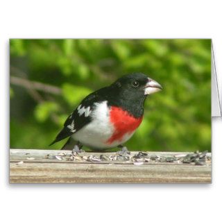 Grosbeak Thinking Of You Card (Large Print)