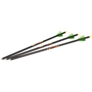 Excalibur Diablo Illuminated Carbon Arrows 725278