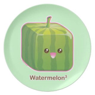 Cute Square Watermelon Plate