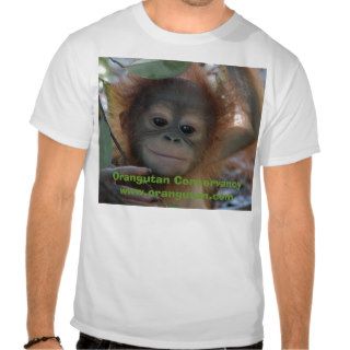 Baby Orangutan T Shirt