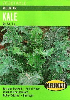 Kale Siberian Seeds : Vegetable Plants : Patio, Lawn & Garden