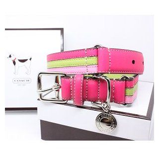 COACH Striped Multicolor Leather Dog Collar with Engraveable Charm 60407 Limited Edition   Lime/Pink, Medium (13.5" 16.5")  Pet Collars 