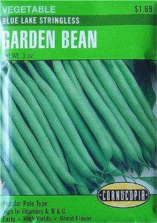 Bean Blue Lake Seeds : Bean Plants : Patio, Lawn & Garden