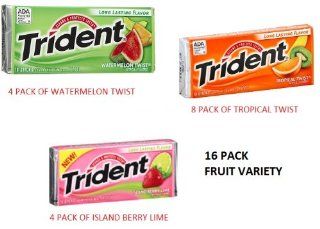 COS SL Trident FRUIT Variety 16 Pack Mixed Artificial Flavors Sugarfree GUM   16x18 Pieces Packages (288 Sticks Total)  Chewing Gum  Grocery & Gourmet Food