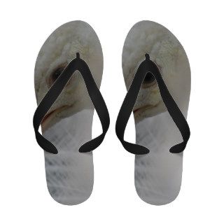 White Peafowl Flip Flops