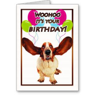 basset hound birthday card   woohoo it's your birt