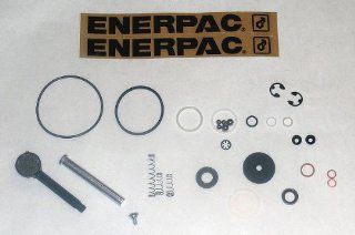 Enerpac   P391K2   Hydraulic Hand Pump Repair Kit, For 6W462: Home Improvement