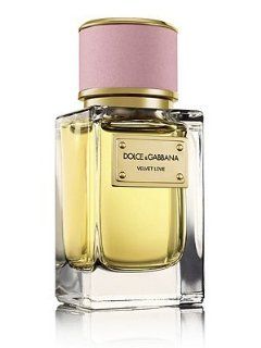 Dolce & Gabbana Velvet Love Perfume for women 1.6 oz Eau De Parfum : Beauty