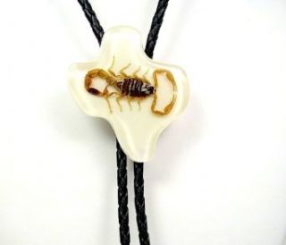 Texas State w/ Real Scorpion Bolo Tie ~ White Background: Clothing