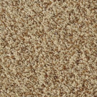 Dixie Group Active Family Maple Springs Sable Frieze Indoor Carpet