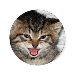 Screaming Kitty Round Sticker