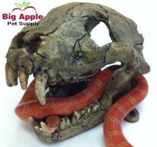 Sumatran Rat Monkey Skull Reptile Hideout : Pet Habitat Decor Hideouts : Pet Supplies