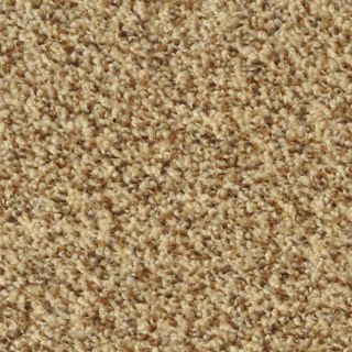 Dixie Group Active Family Maple Springs Tuscany Frieze Indoor Carpet