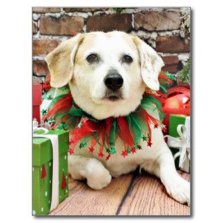 Christmas   Beagle X   Max Postcards