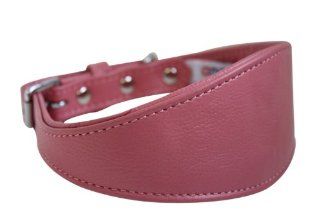 Leather Padded Hound Dog Collar. 18" x 2.25", Bubblegum Pink : Pet Collars : Pet Supplies