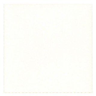 Pearl White Stardream Metallic Square 5 1/2 x 5 1/2 (5.5x5.5) Blank Note Cards   20 per pack : Cardstock Papers : Office Products